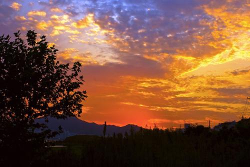 描写夕阳辉光的诗