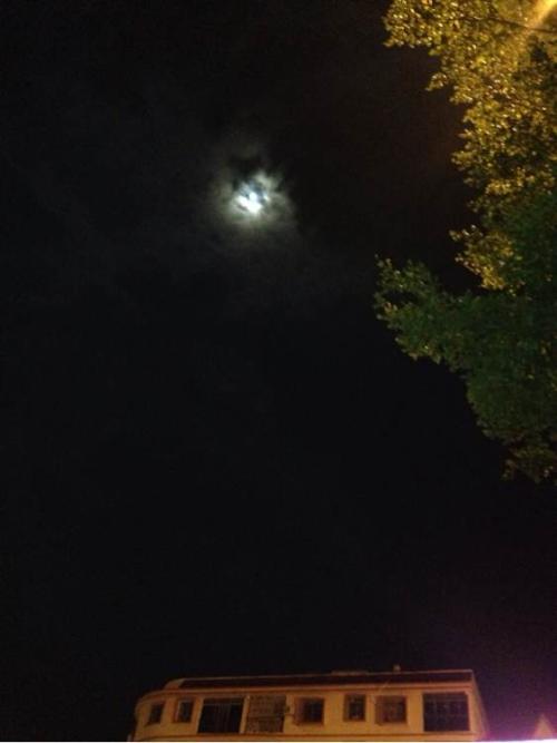 描写夜风的句子