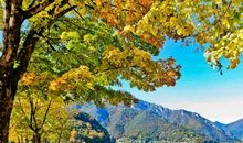 春节火星文祝福语