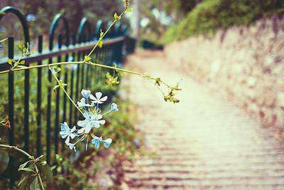 有一种永恒，它用生命来解释永恒1