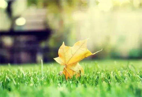 别担心，迟到的人是最好的1