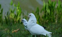 2018心情好的签名