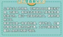 森林防火谚语