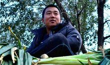 跟葱有关的谚语