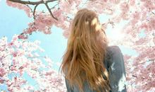 人生感悟的句子图片：因为看清了，也就看轻了