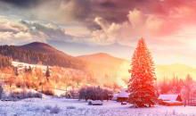 描写冬日清晨的句子