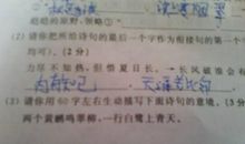 描写黄鹂的比喻句