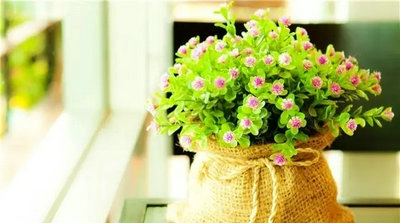 关于生活情感的句子:悲伤:世界让我被割伤和瘀伤所笼罩,但伤口却从机翼上长出来