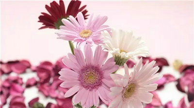 关于生活情感的句子:悲伤:这个世界使我受伤,但伤口却从翅膀上长出来1