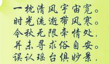 关于桥的谚语30个