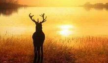 苦难励志的句子