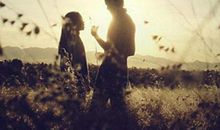 爱情的句子经典，有关爱情的经典句子