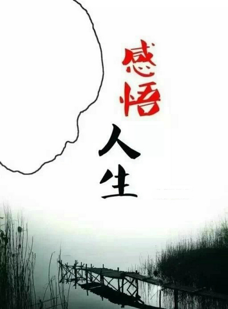 27个经典句子，领悟生活