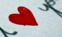 每天说句小情话