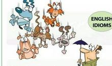 在表达上很有特点的谚语