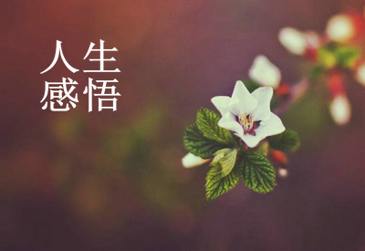 人生感悟的句子特征:比起人生领先一步,比人生领先一步