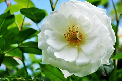 超级悲伤的个性签名