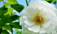 超级伤心的个性签名