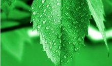 用隐隐约约造句大全