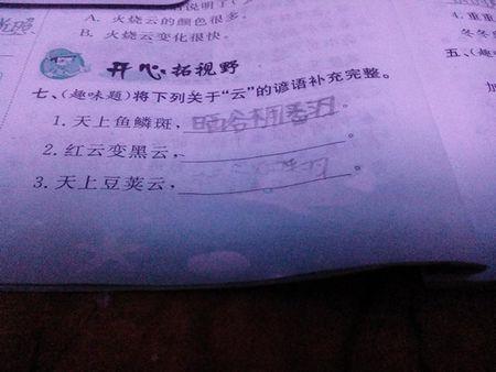 关于早晨的谚语