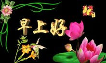 对早上的祝福语大全