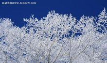 有关雪景的比喻句