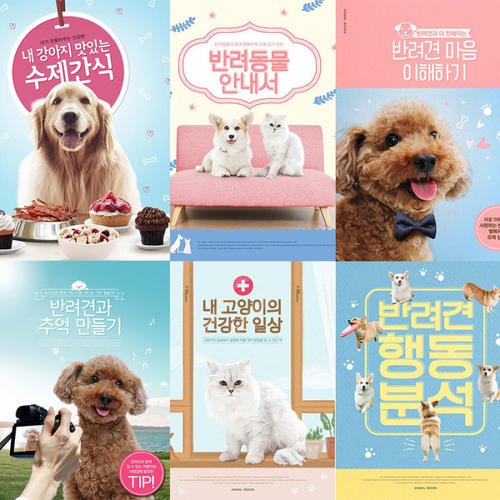 宠物店促销口号