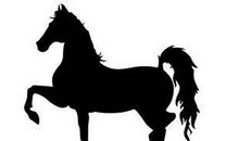 骑牛追马歇后语