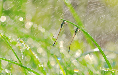 30岁的生活带图片