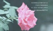 语录大全2018经典版