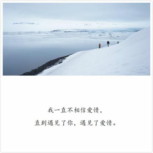 形容不信爱的句子