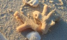 形容水清的比喻句