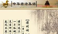 写母爱的名言和诗句