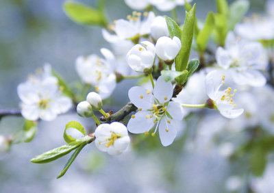 人生感悟句子简短地谈论了情绪：不要让挫败感吞噬您，您一定会成功的1