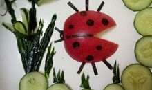 七星瓢虫的比喻句