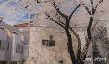 诗意的句子关于励志