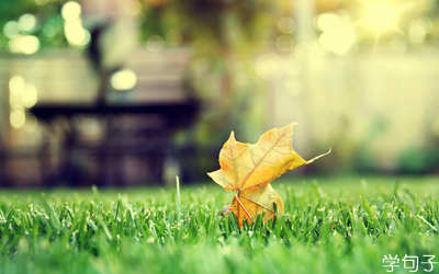 阳光励志句：如果一个人有野心，一切都可以做到