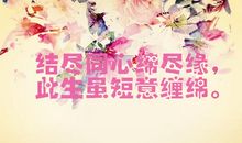 浪漫爱情表白语句