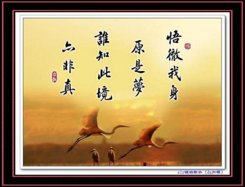 精彩的座右铭