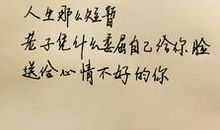 好的感情句子
