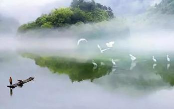 审美拟人句描述