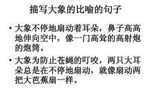 描写鼻子的比喻句