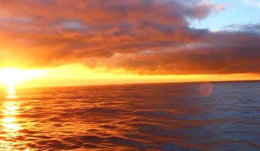 晚上的拟人化句子