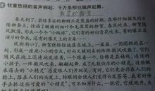 文明礼仪的比喻句