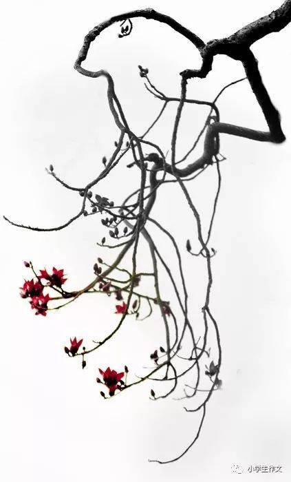 拟人化句子的片段