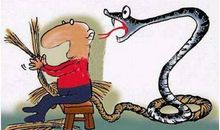 英文谚语和动物有关