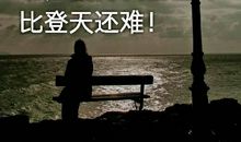 关于信任的比喻句