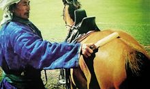 马背上打电话歇后语