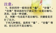 描写辣椒的比喻句