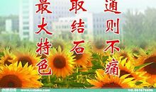 音乐教师一句话格言